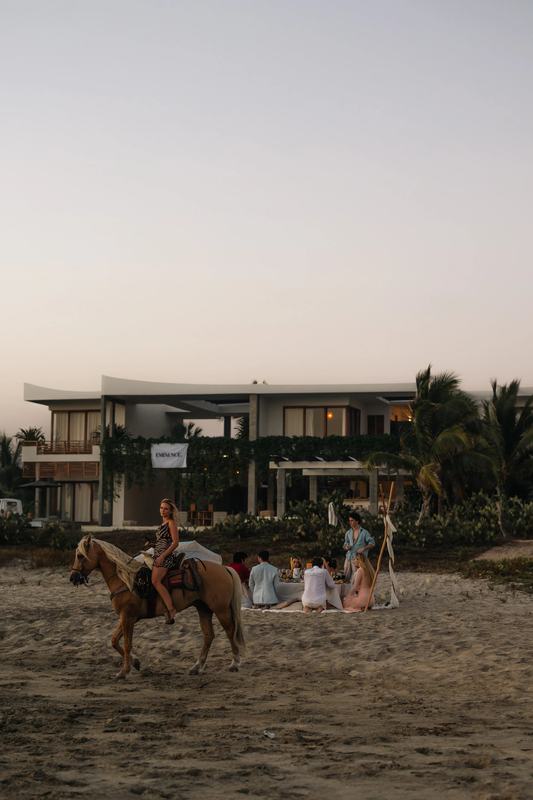 Eminence &times; Puerto Escondido, photograph 5