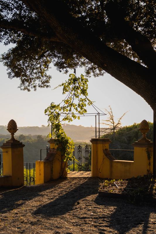 Eminence &times; Villa Rey Bugallo, photograph 7