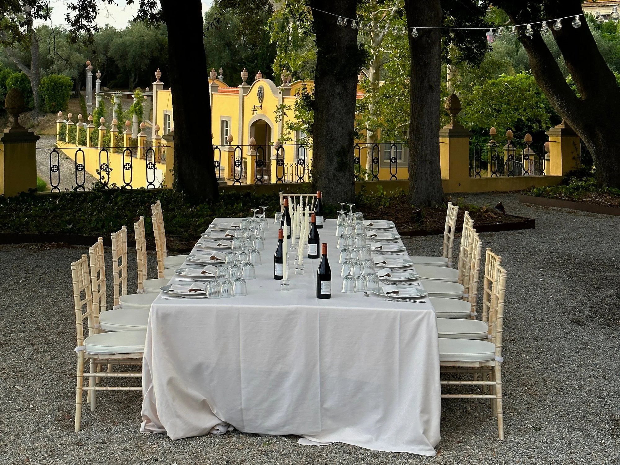 Long dinner table set under the trees
